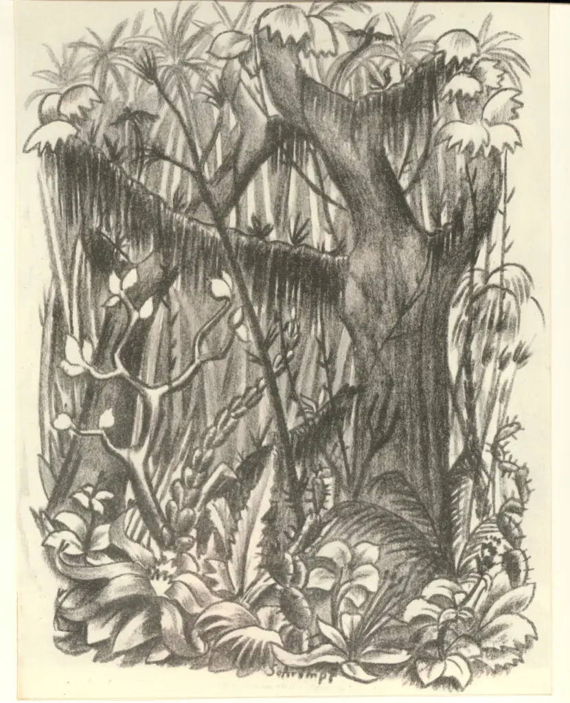 Anonimo, Anonimo , fronte