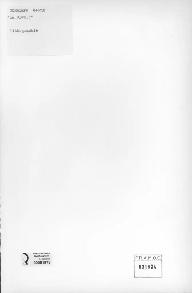 Anonimo, Anonimo , retro