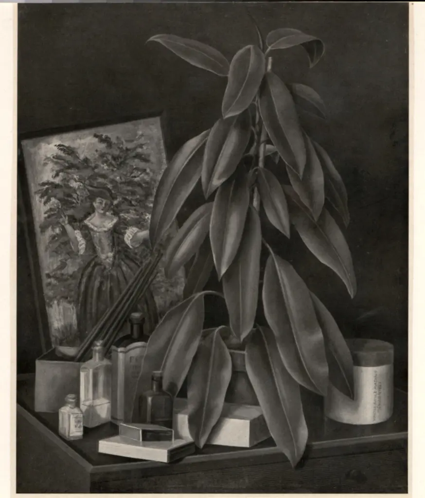 Anonimo , Schultze, bernard - sec. XX - Stilleben , fronte