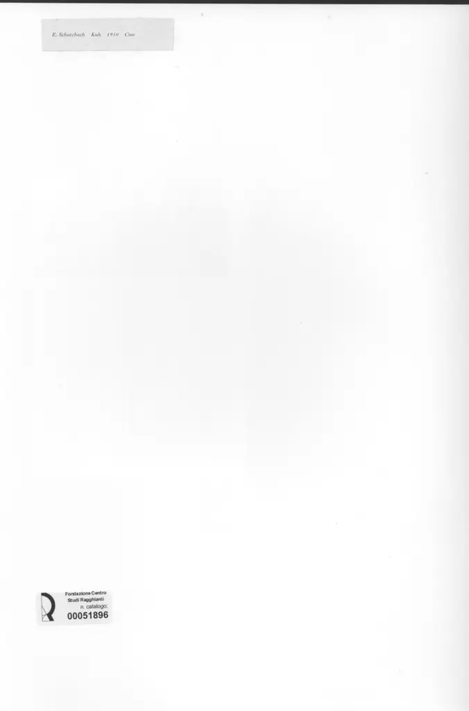 Anonimo , Schutzbach, Erwin - sec. XX - Cow , retro