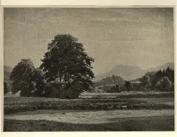 Anonimo , Sieck, Rudolf - sec. XX - Vicino a Bernau , fronte