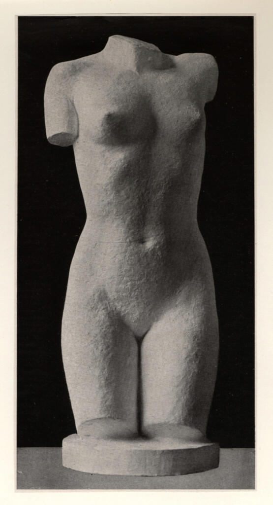 fronte