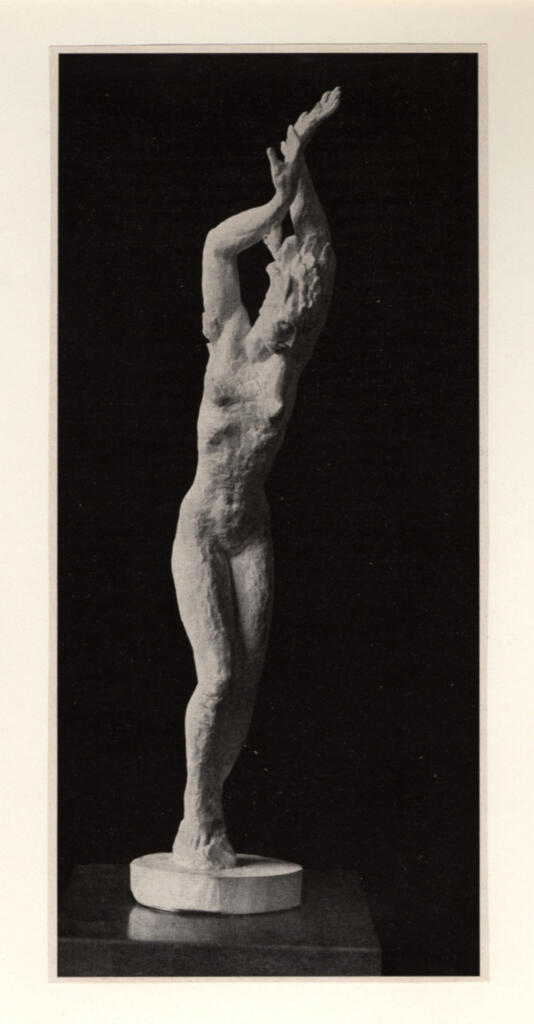 fronte