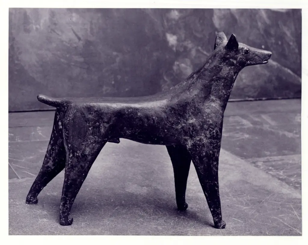 Anonimo , von Stadler, Toni - sec. XX - Cane , fronte