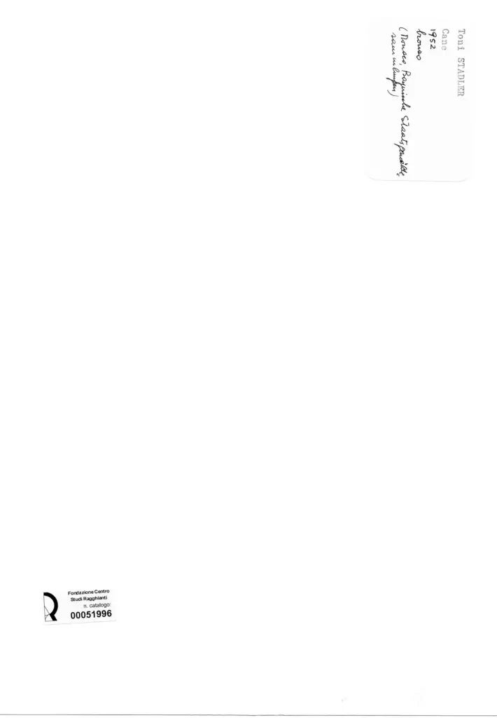 Anonimo , von Stadler, Toni - sec. XX - Cane , retro