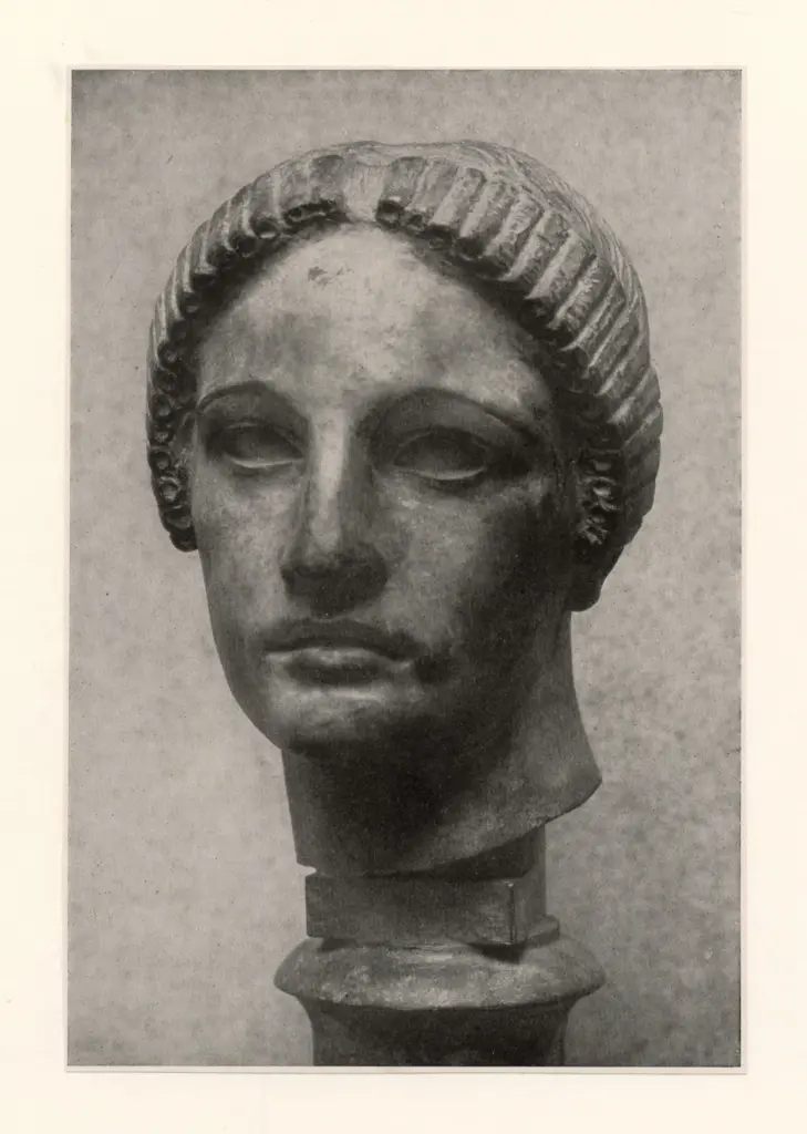 Starck, Constantin , fronte