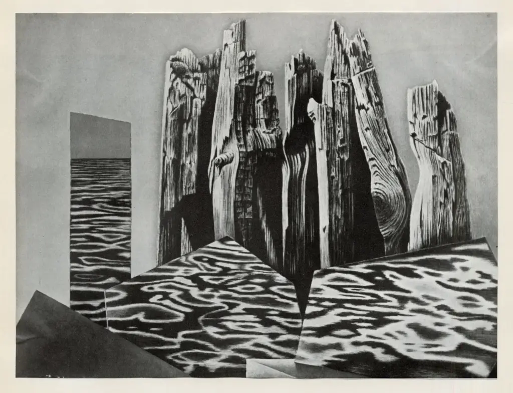 Anonimo , Thiemann, Hans - sec. XX - Specchi d'acqua e legni , fronte