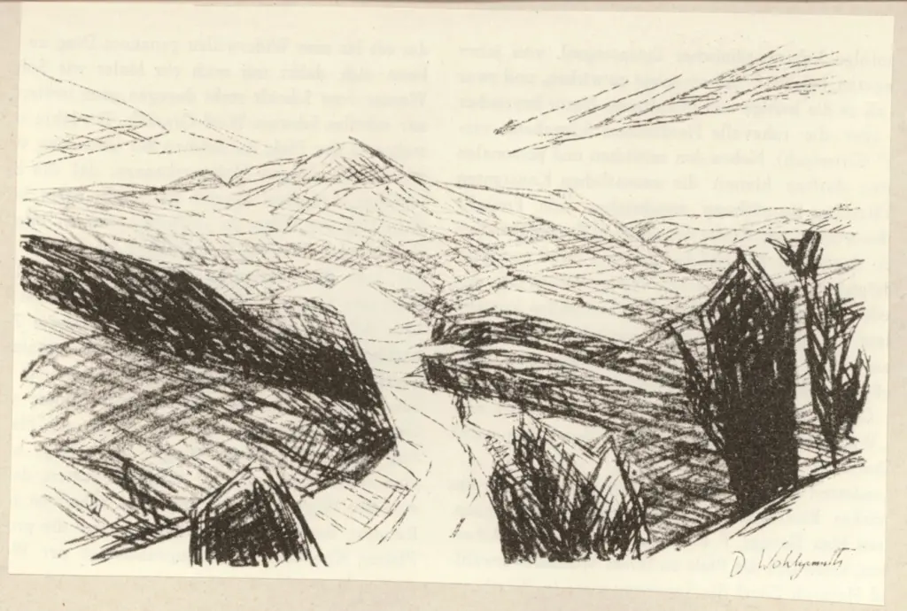 Anonimo , Wohlgemuth, Daniel - sec. XIX/ XX - Hohenstimmung , fronte