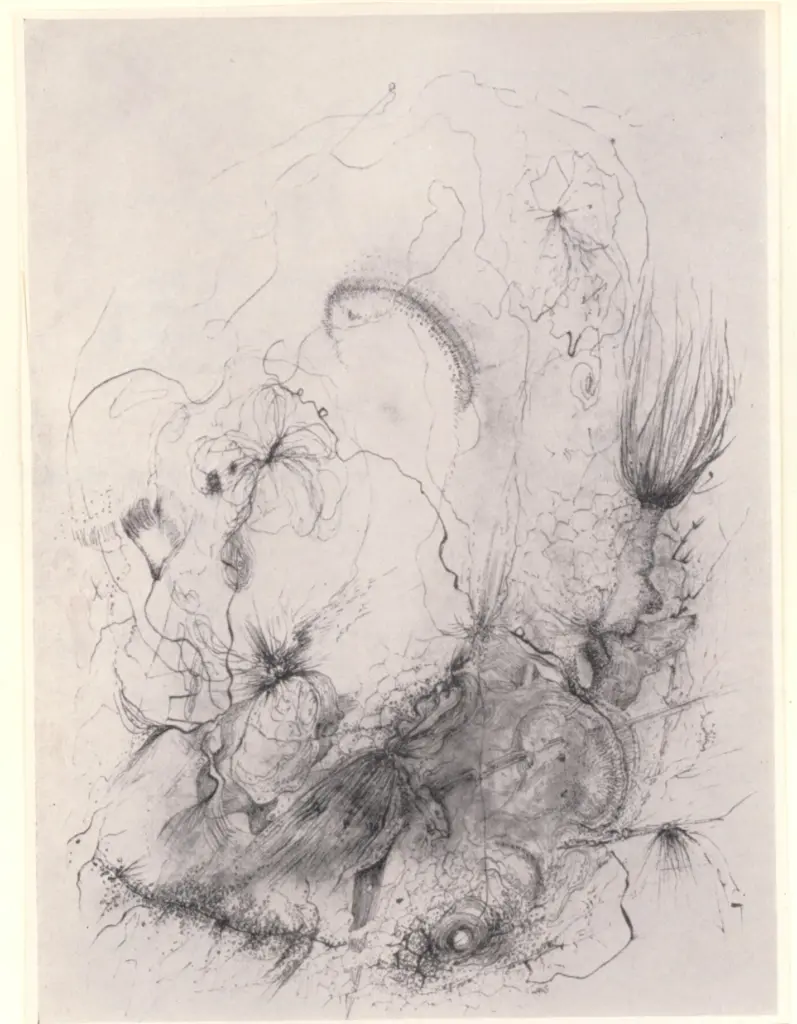 Anonimo, Anonimo , fronte