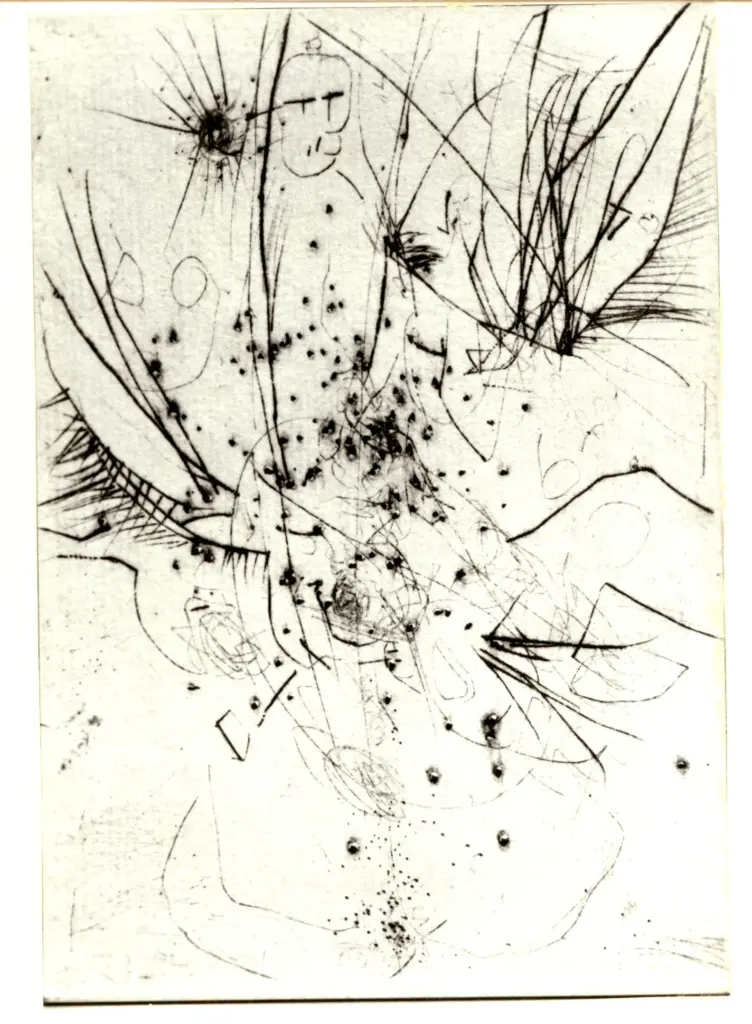 Anonimo , Schulze Wols, Alfred Wolfgang Otto - sec. XX - Puntasecca , fronte