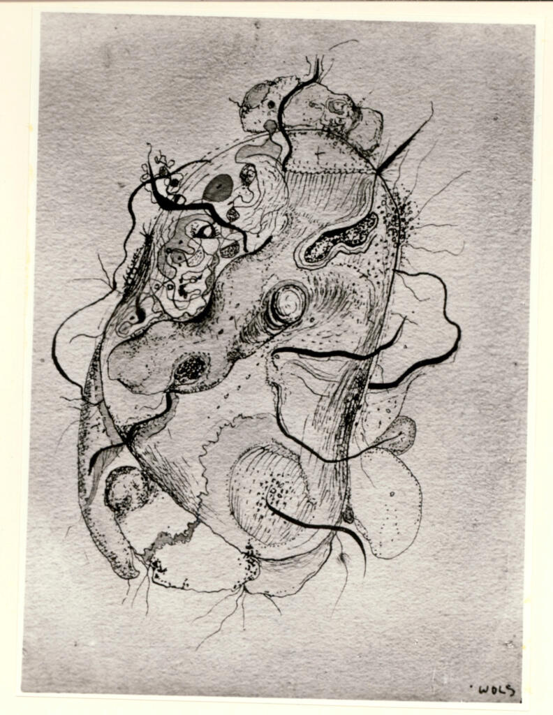 Fotografia Ferruzzi , Schulze Wols, Alfred Wolfgang Otto - sec. XX - Composizione n. 19 , fronte