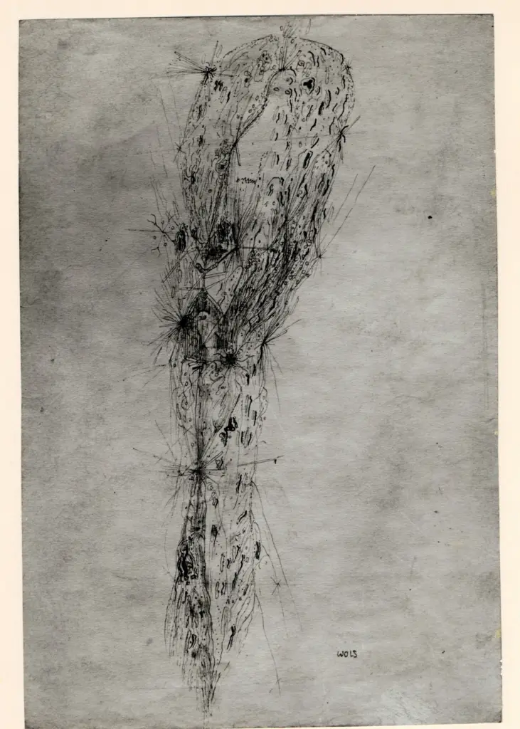 Fotografia Ferruzzi , fronte