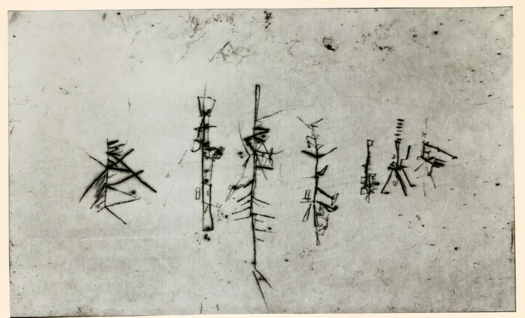 Fotografia Ferruzzi , Schulze Wols, Alfred Wolfgang Otto - sec. XX - Puntasecca , fronte