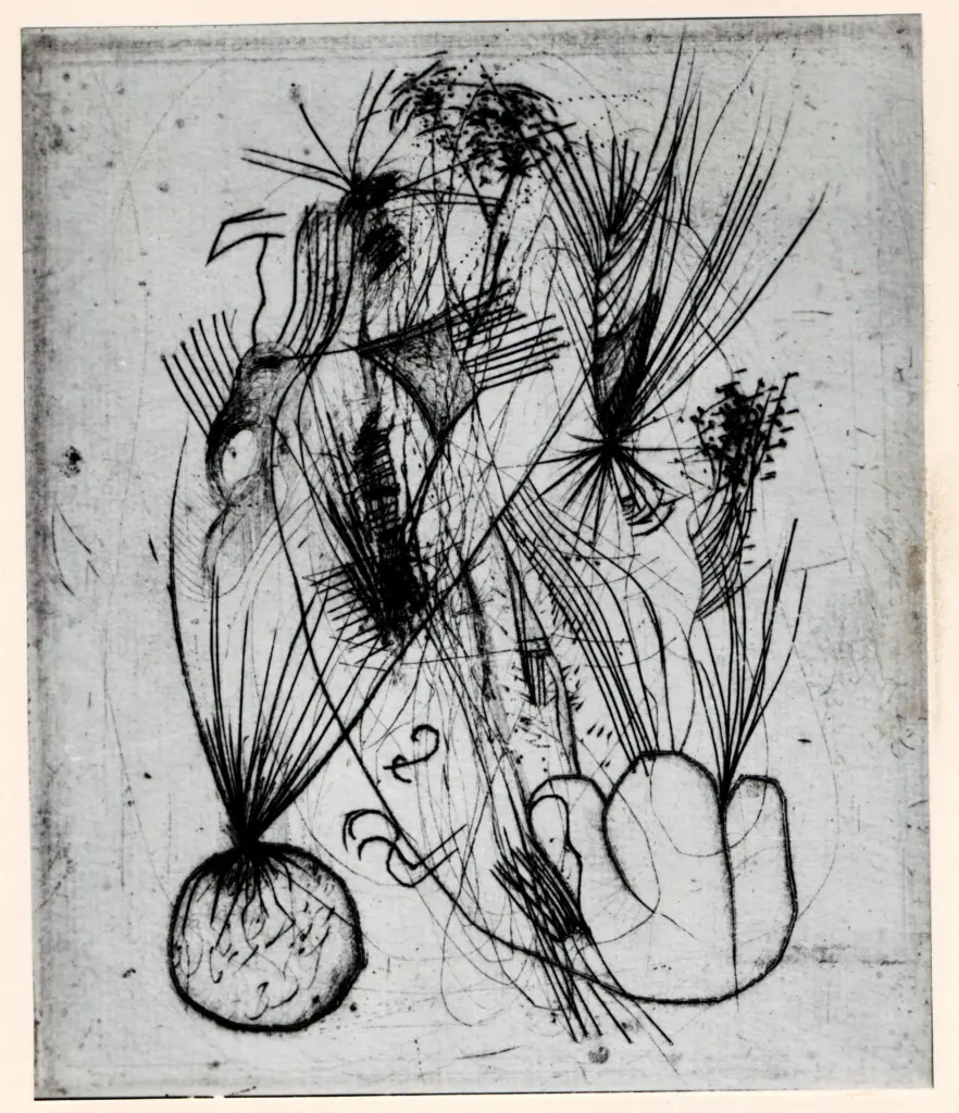 Fotografia Ferruzzi , fronte