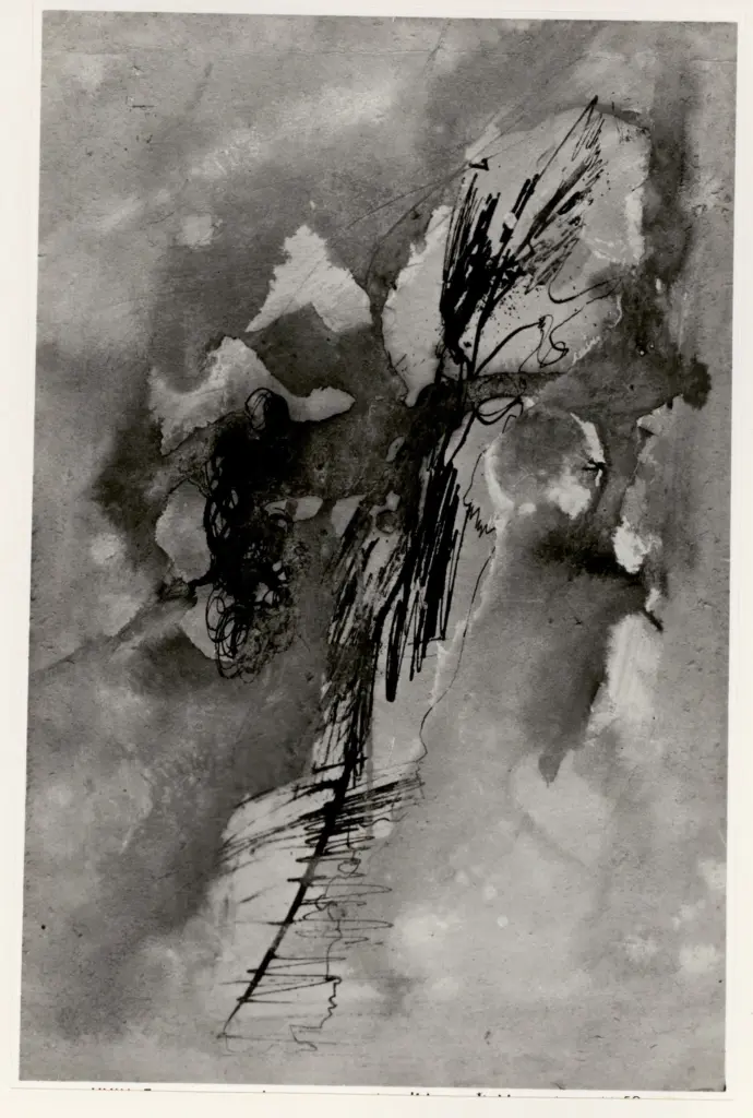 Fotografia Ferruzzi , fronte