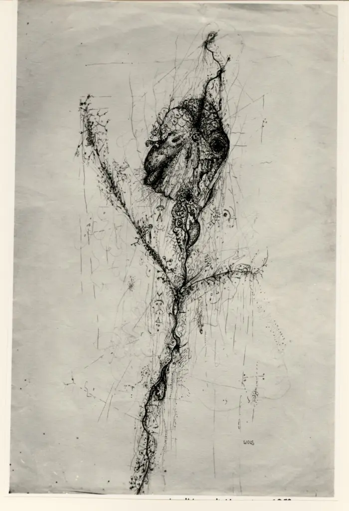 Fotografia Ferruzzi , fronte