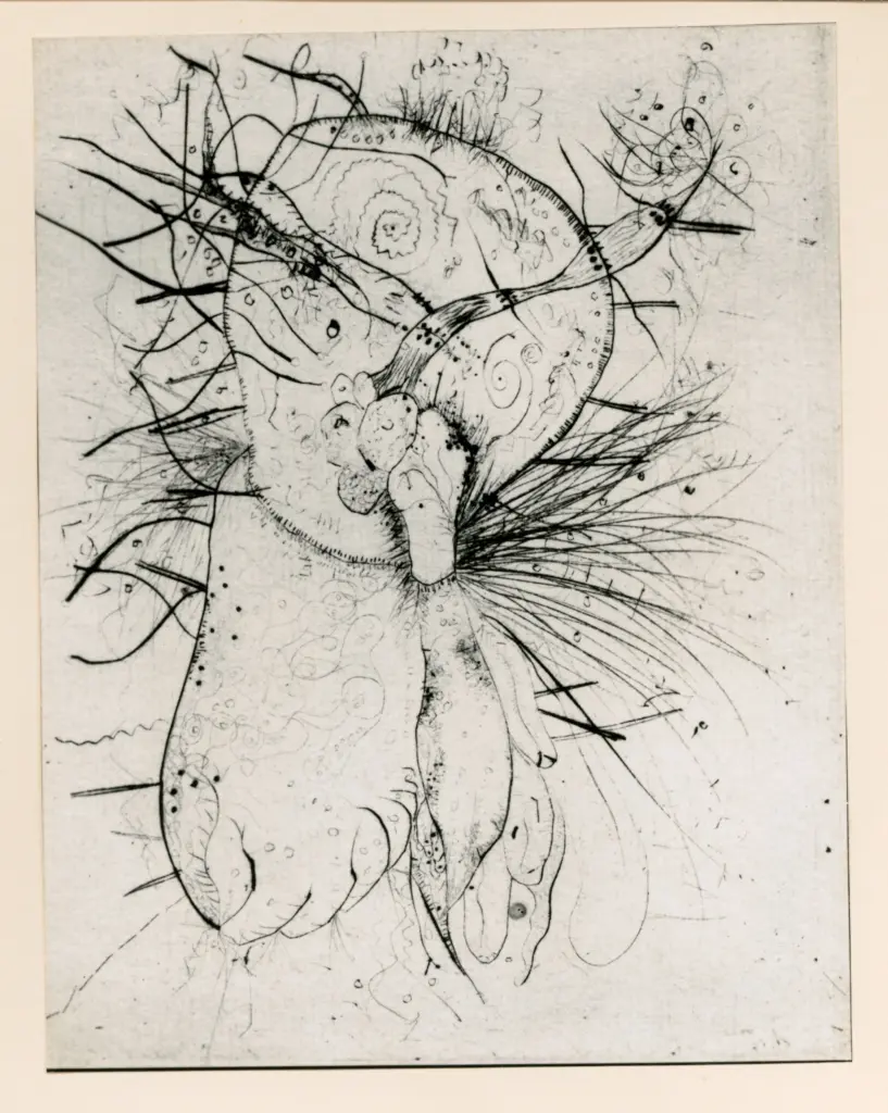 Fotografia Ferruzzi , Schulze Wols, Alfred Wolfgang Otto - sec. XX - Puntasecca , fronte