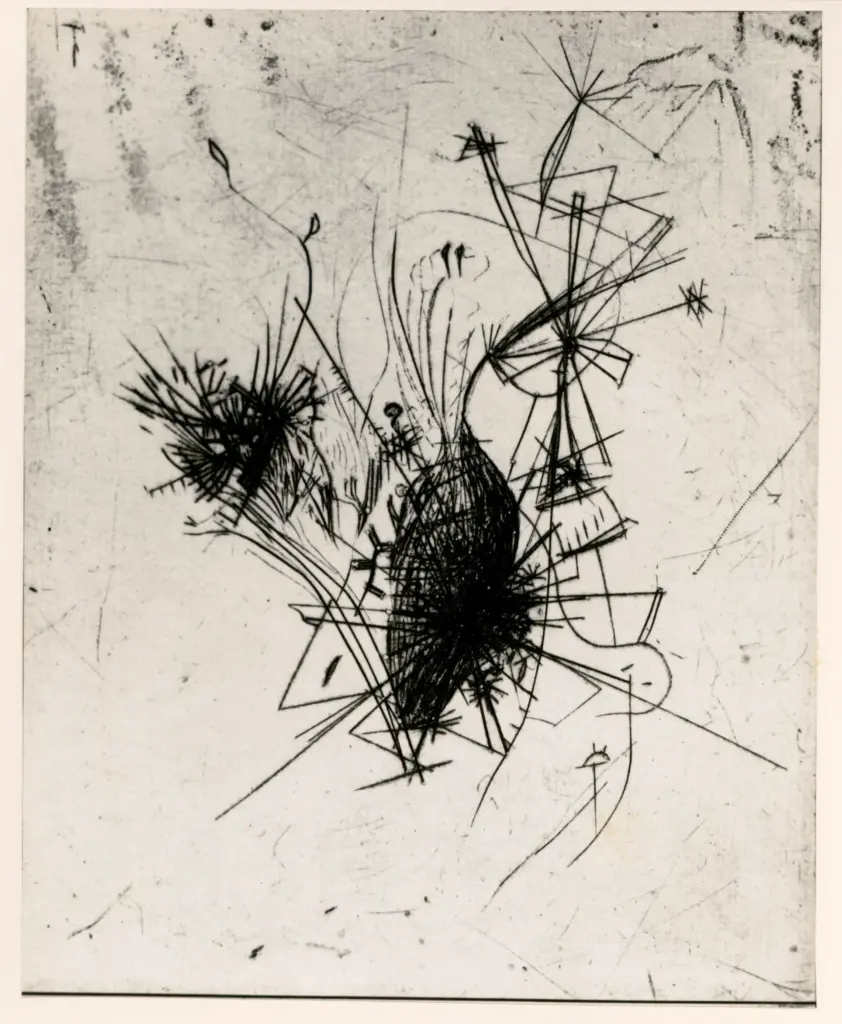 Fotografia Ferruzzi , fronte