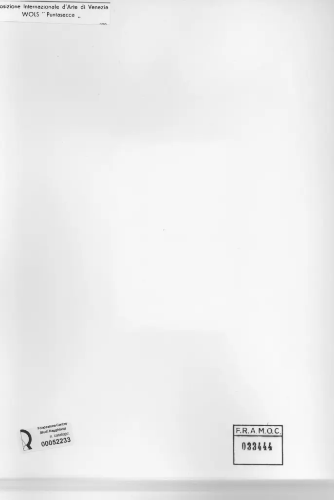 Fotografia Ferruzzi , Schulze Wols, Alfred Wolfgang Otto - sec. XX - Puntasecca , retro