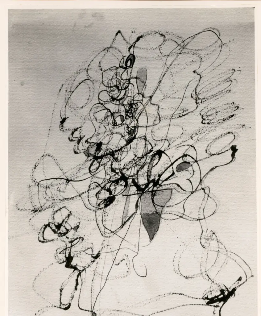 Fotografia Ferruzzi , s.v.