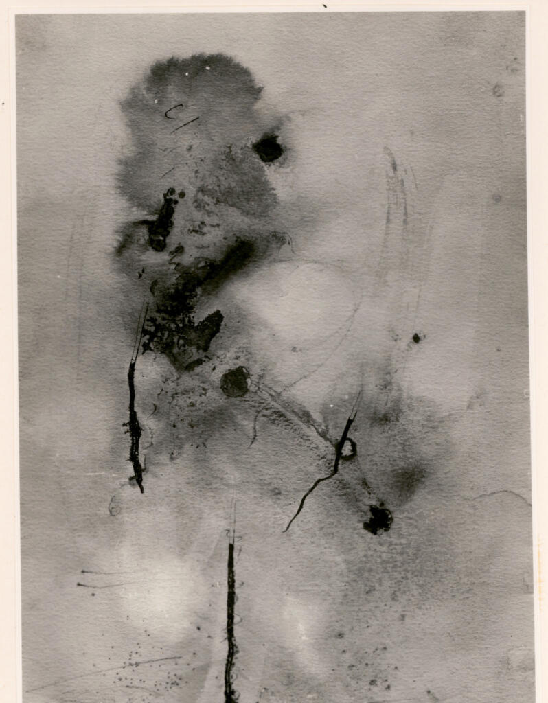 Fotografia Ferruzzi , Schulze Wols, Alfred Wolfgang Otto - sec. XX - Composizione n. 14 , fronte