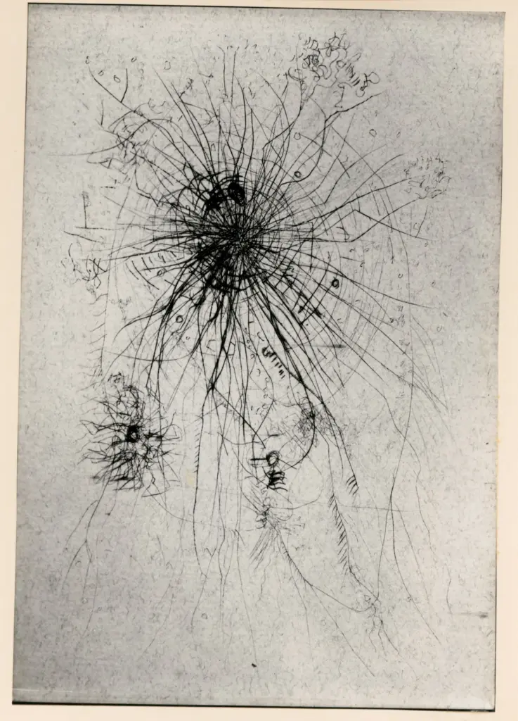 Fotografia Ferruzzi , fronte