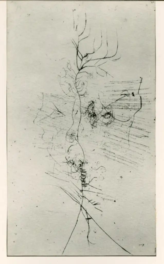 Fotografia Ferruzzi , Schulze Wols, Alfred Wolfgang Otto - sec. XX - Puntasecca , fronte