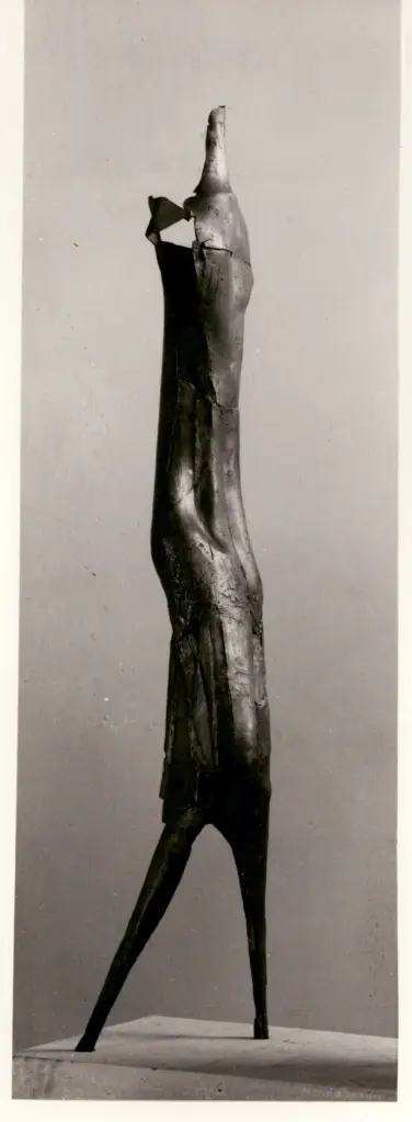 Capralos, Christos , fronte