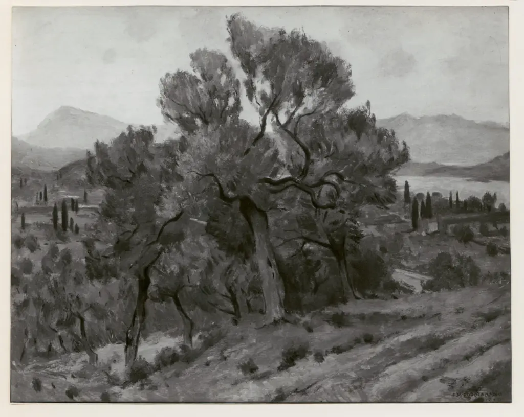 Rodocanachi, Paolo , Olivi a Poros