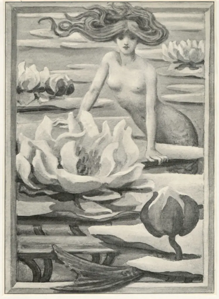 Anonimo , Anonimo tedesco , fronte