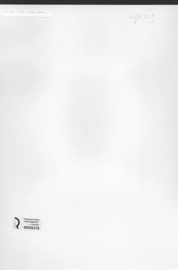 Anonimo , Anonimo inglese sec. XIX , retro