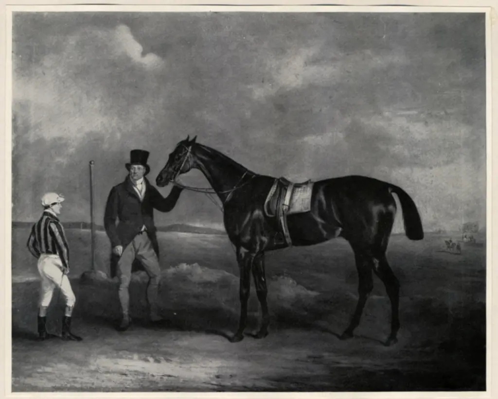 Anonimo , Anonimo , fronte