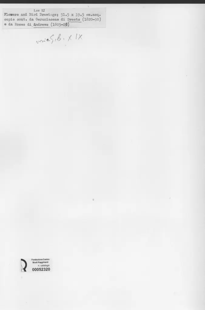 Anonimo , Anonimo inglese sec. XIX , retro