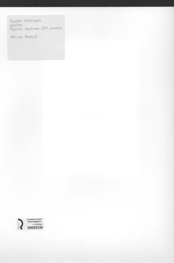 Anonimo , Anonimo inglese sec. XIX , retro