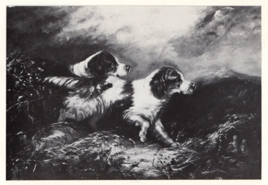 Anonimo , Armflield, George - sec. XIX - Setters on a moor , fronte