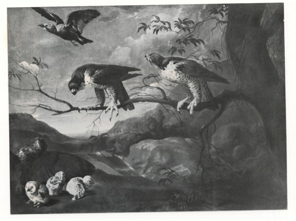 Anonimo, Anonimo , fronte