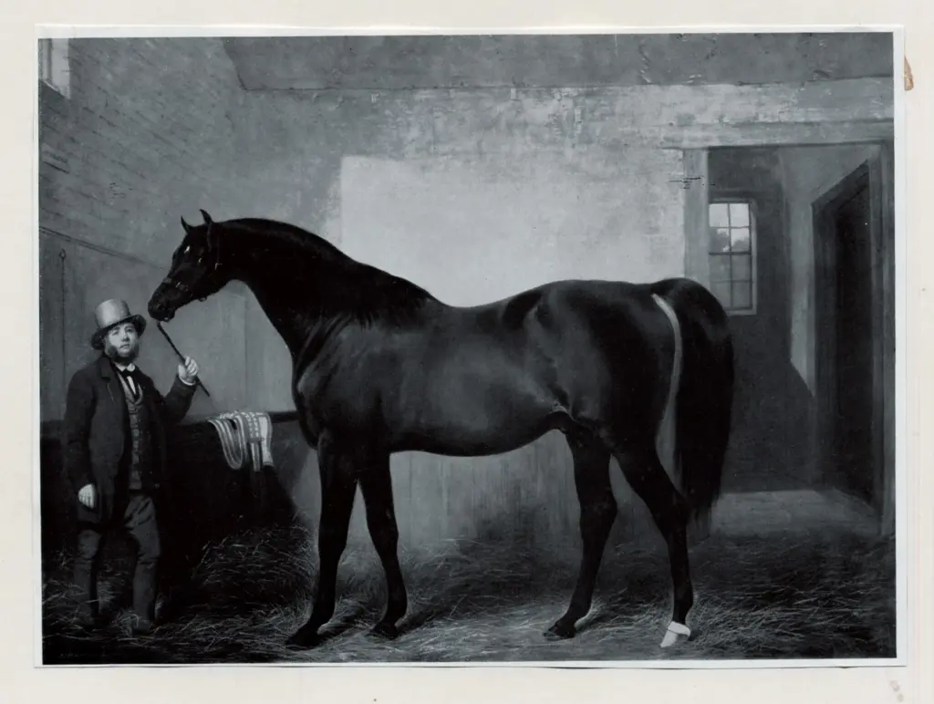 Anonimo, Anonimo , fronte