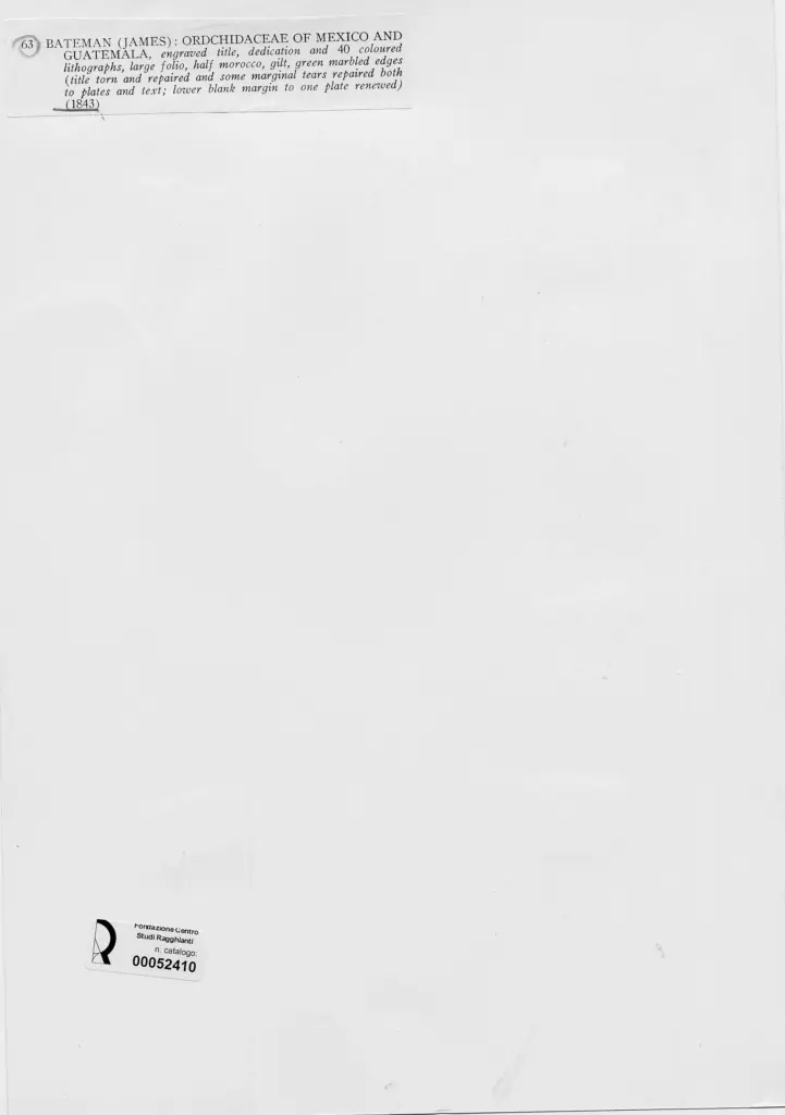 Anonimo, Anonimo , retro