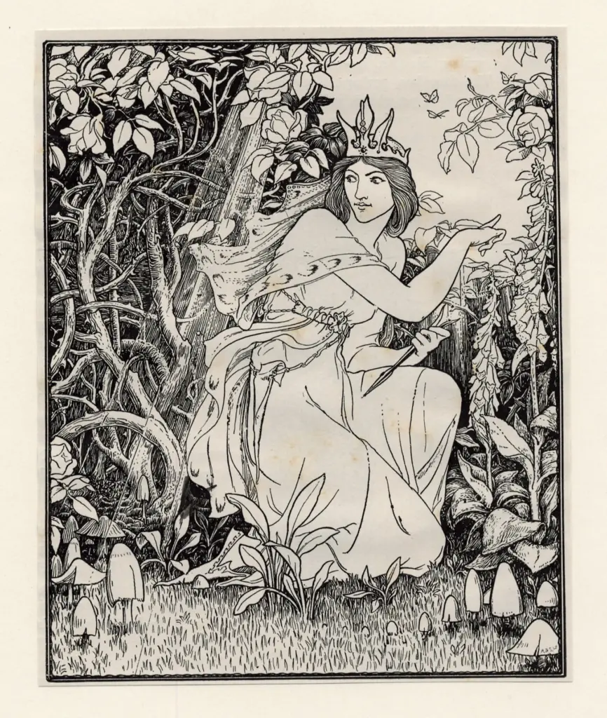 Batten, J. D. , La saga del sea-swallow -