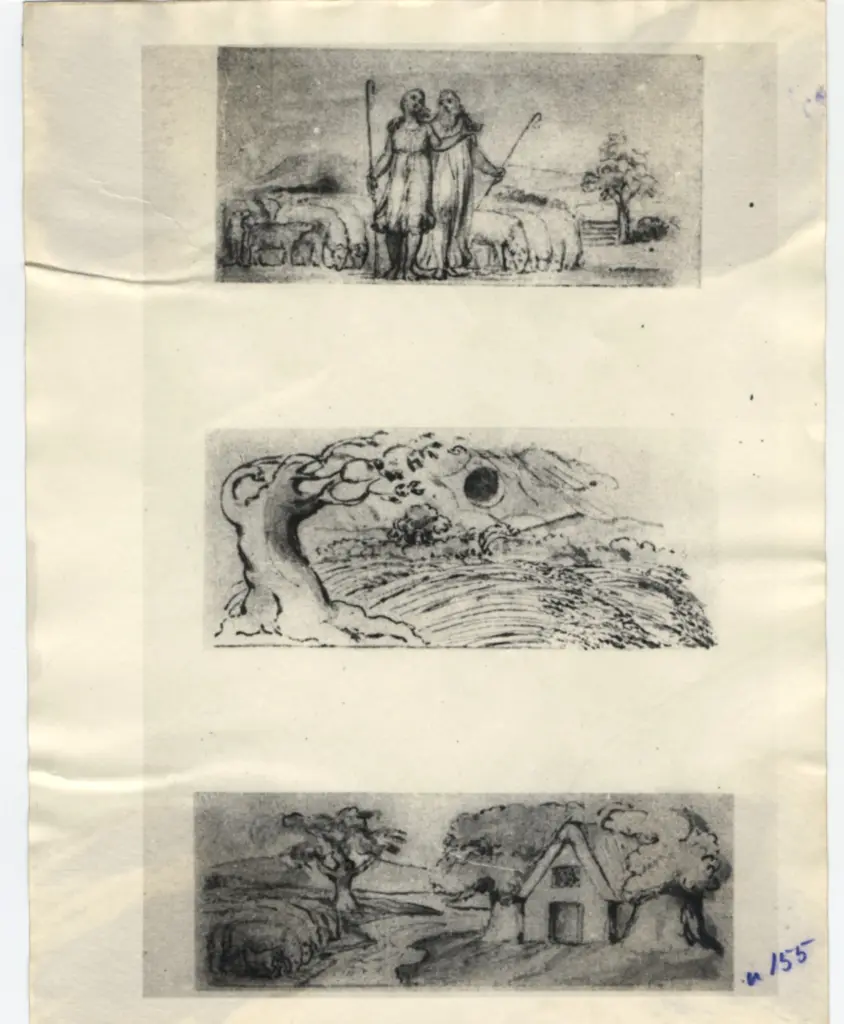 Anonimo, Anonimo , fronte