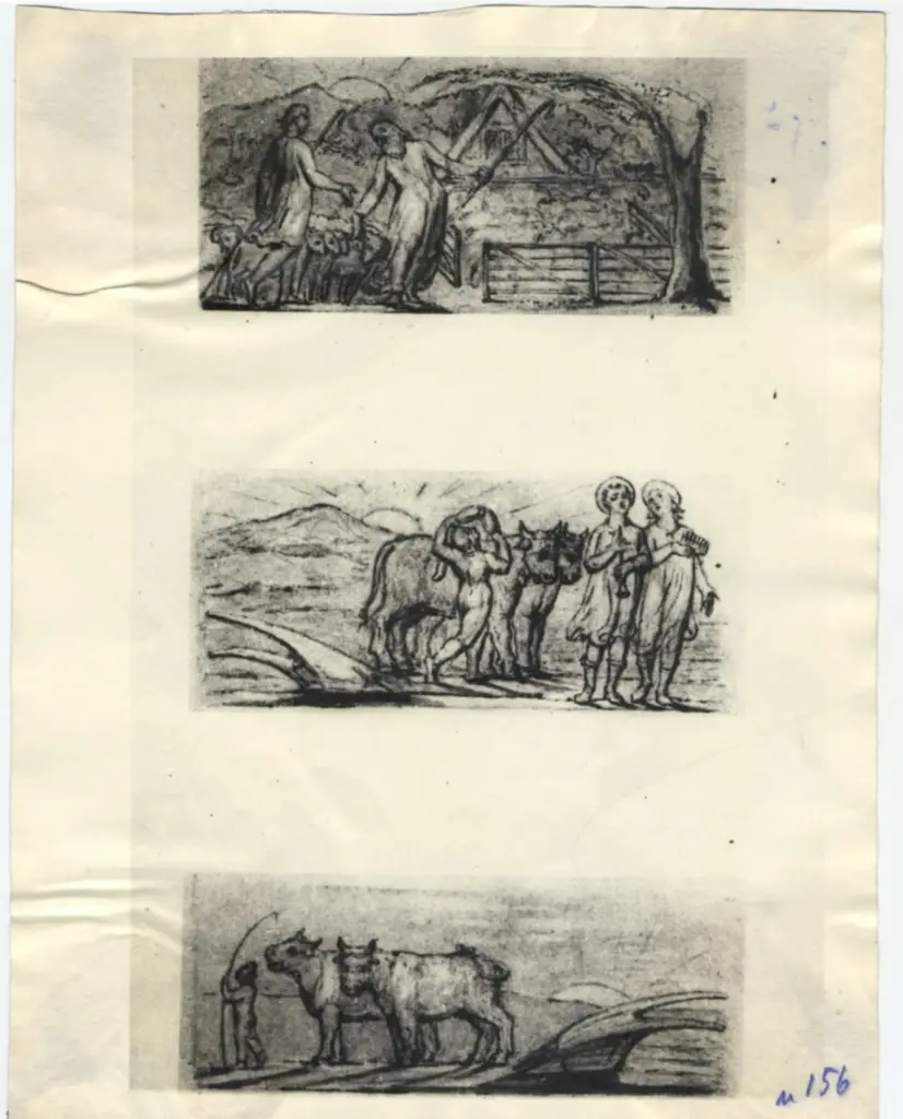 Anonimo, Anonimo , fronte