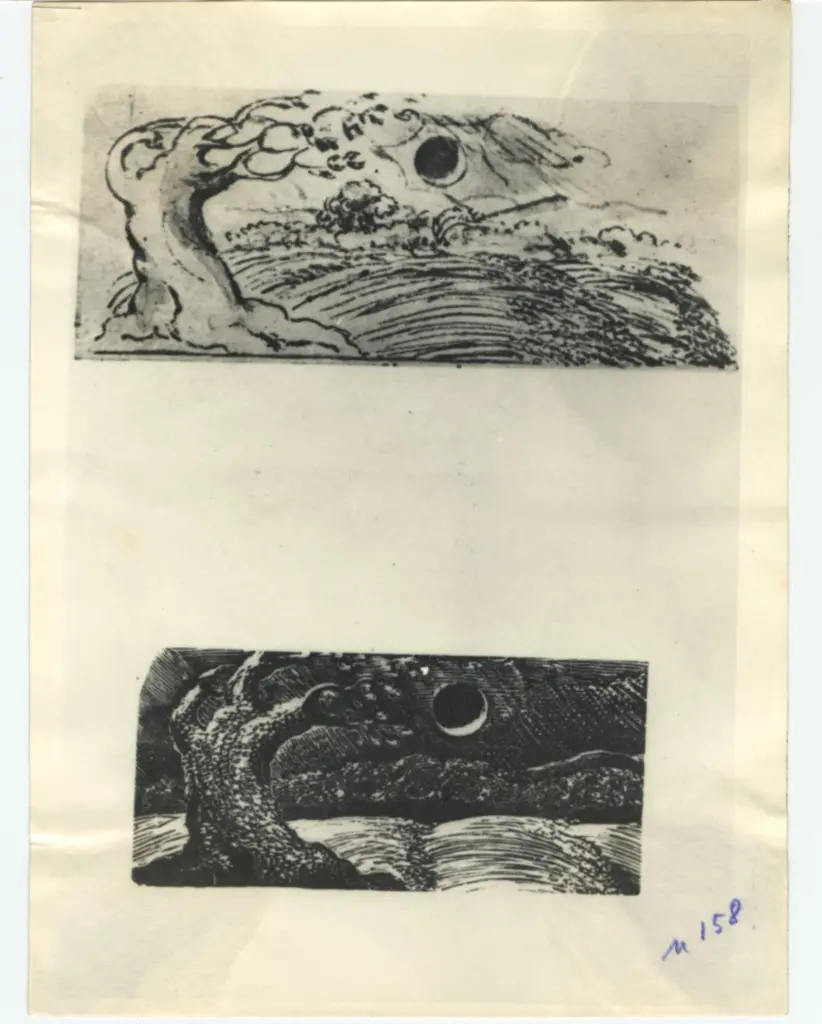 Anonimo, Anonimo , fronte