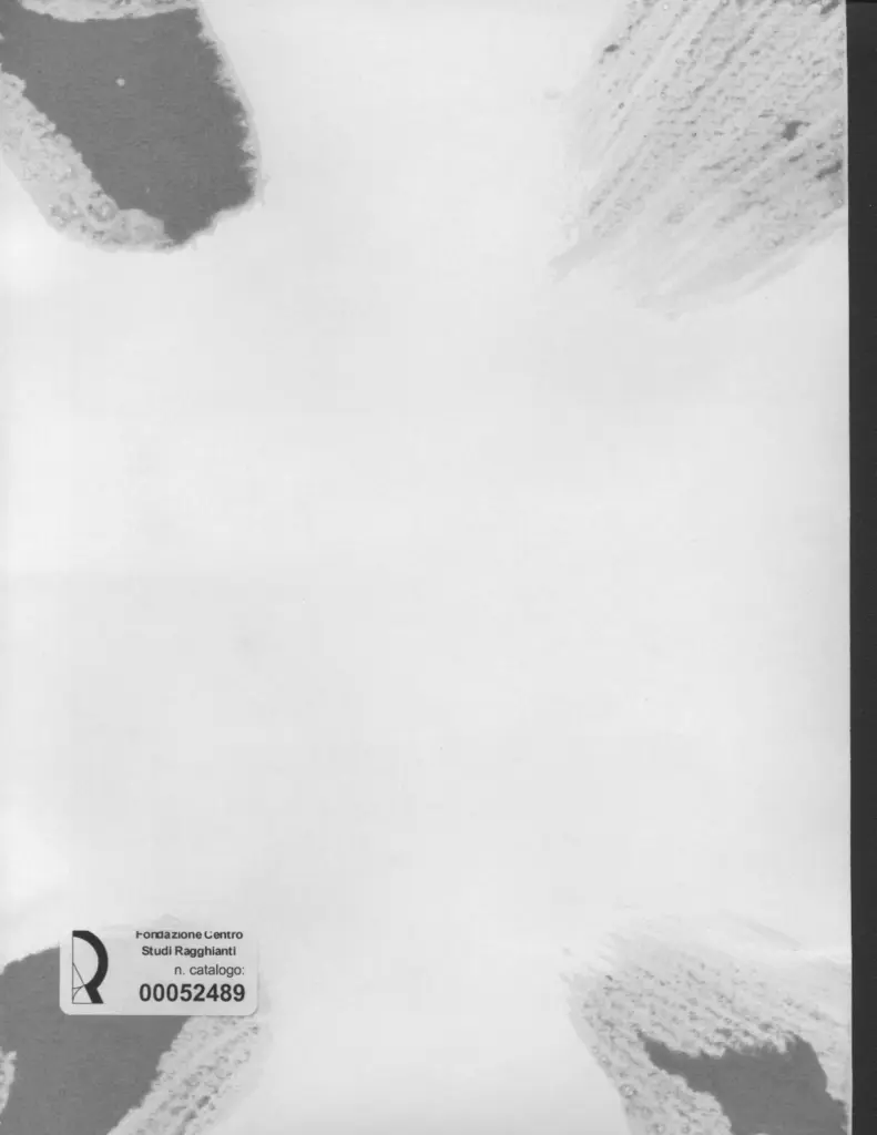 Anonimo, Anonimo , retro