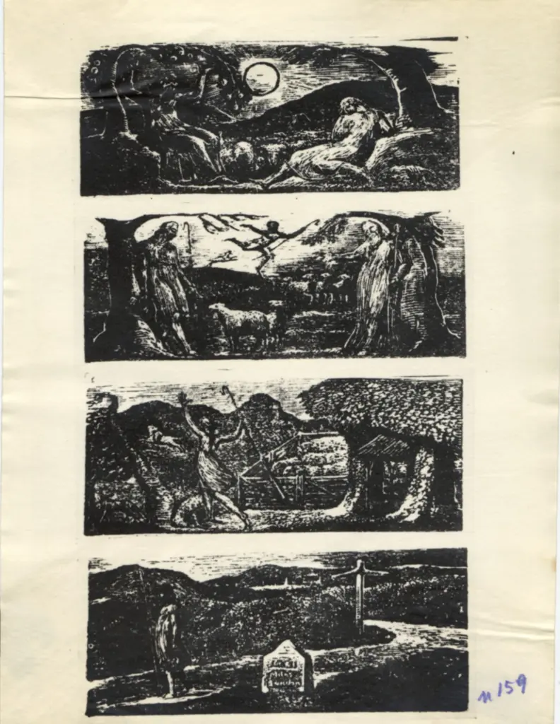 Anonimo, Anonimo , fronte