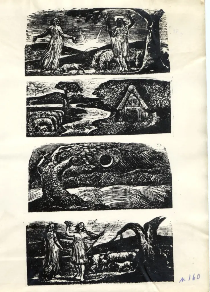 Anonimo, Anonimo , fronte