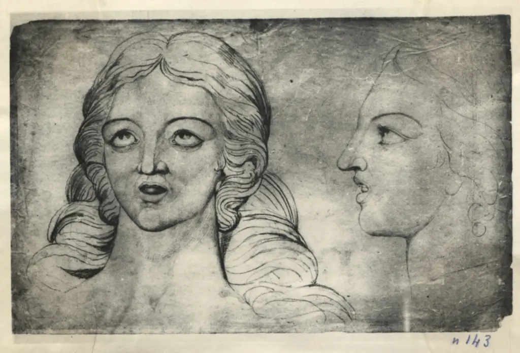 Anonimo, Anonimo , fronte