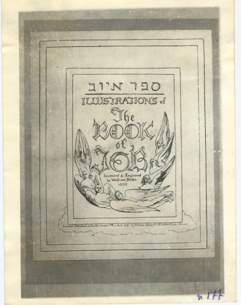 Anonimo, Anonimo , fronte