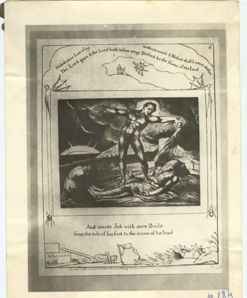 Anonimo, Anonimo , fronte