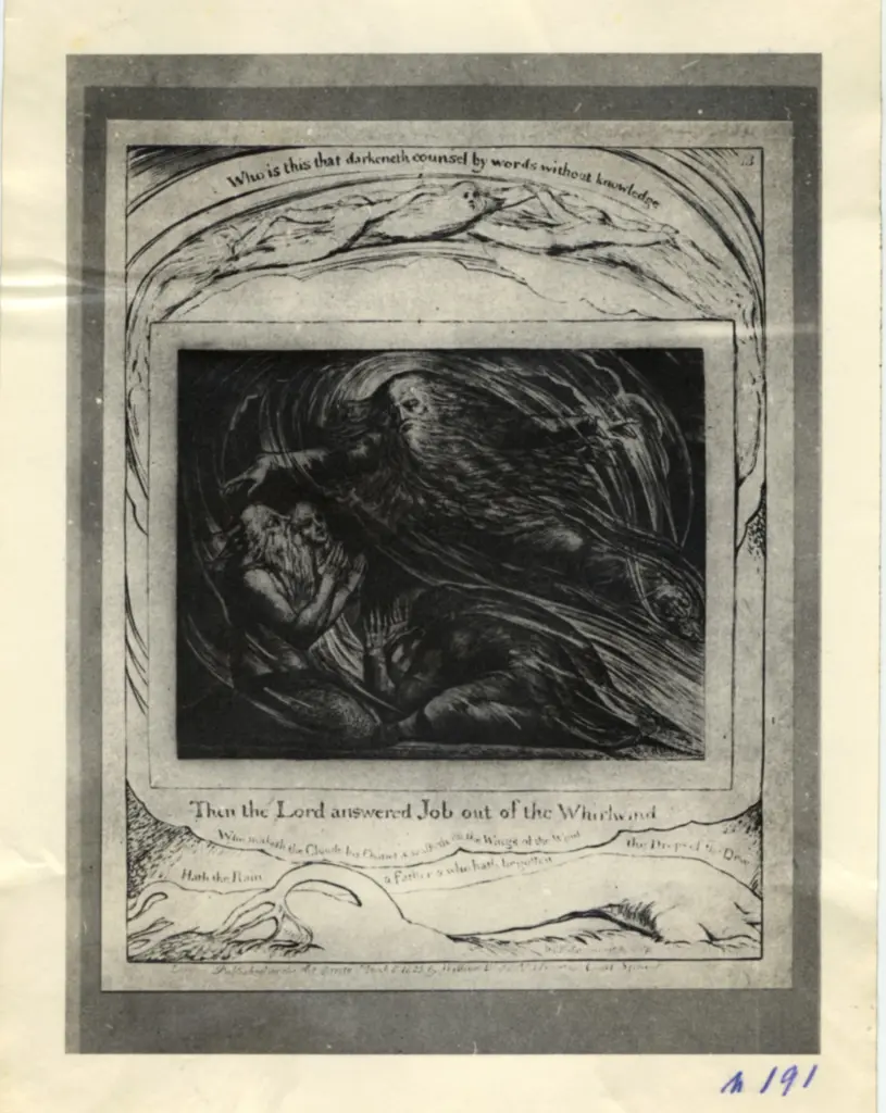 Anonimo, Anonimo , fronte