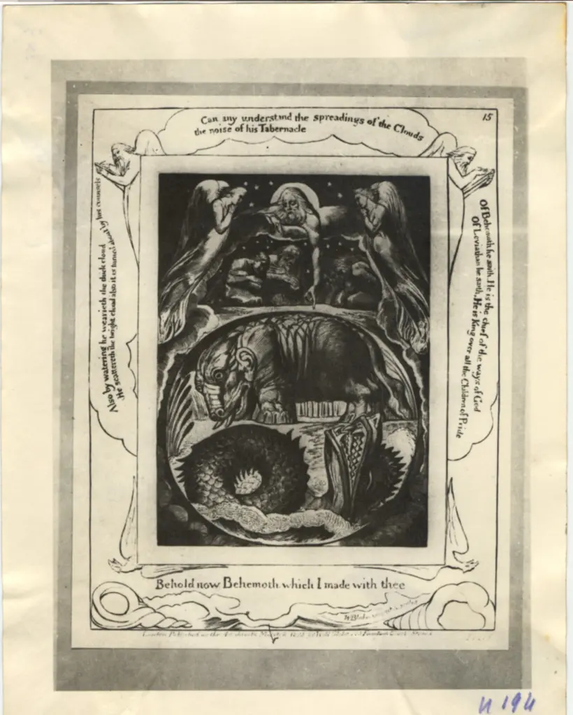 Anonimo, Anonimo , fronte